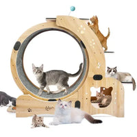 6-in-1 Cat Fitness Wheel JohnyLeon