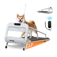 Smart Pet Treadmill, Adjustable Speed JohnyLeon